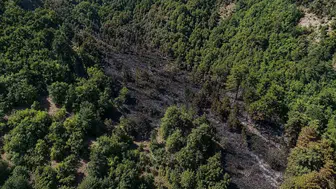 Sinop’ta ormanlık alanda çıkan yangın söndürüldü