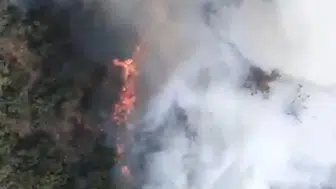 Sındırgı'da kamyon yangını ormana sıçradı