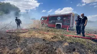 Tekirdağ'da anız yangını tarlalara sıçradı