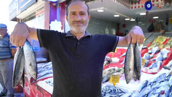 Samsun tezgahlarında palamut bereketi