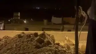 Adıyaman'da köy evlerinin bahçesine çizgili sırtlan girdi
