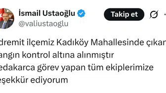 Edremit'teki orman yangını korkuttu