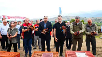 Erbaa'da kene avcıları doğaya salındı