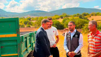 Bilecik Gölpazarı'nda ayçiçeği tarlaları hızla büyüyor