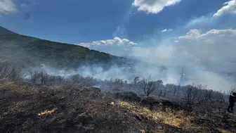 Erdek ormanlarında korkutan yangın kontrol altına alındı