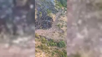 Korkutan orman yangını: Ekiplerin yoğun çabası sonuç verdi