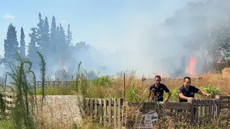 Efeler'de ot yangını zeytinliğe sıçradı Alevler villaların bahçesine dayandı