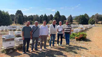 Beyşehirli arıcılar için devlet desteği mesaisi başladı
