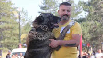 Sivaslı Kangallar podyumda güzelliklerini sergiledi