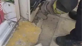 Çorlu’da doğalgaz kutusuna saklanan yılanı kedi ele verdi