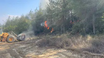 Bilecik ormanlarında yangın paniği kontrol altına alındı