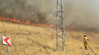 Silvan kırsalındaki örtü yangını ekiplerin hızlı müdahalesiyle söndürüldü