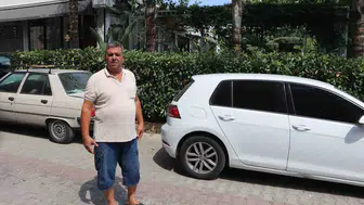 Adana'da ağızlıksız pitbull dehşeti Sokak kedisini parçaladı