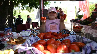 Yamanlar'da domates için tarla günü düzenlendi