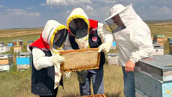 Karslı arıcılara sahada teknik destek seferberliği