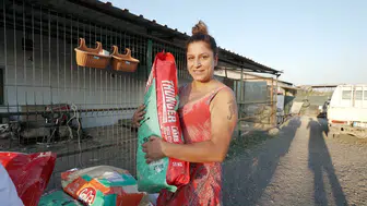 İzmirli müzisyenlerden sokak hayvanları için dev mama desteği