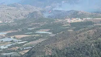 Bilecik ormanlarında çıkan yangın büyümeden söndürüldü