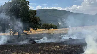 Bolu’da balya makinesi tarlayı küle çevirdi