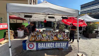 Zonguldak tezgahlarında palamut dönemi başladı