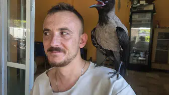 Göl kıyısında bulduğu kargayla ayrılmaz ikili oldu
