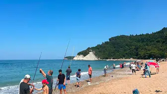 Bartın'da deniz soğudu istavrit sahile indi