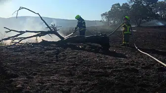 Balıkesir itfaiyesi temmuz ayında bin 521 kez yardıma koştu