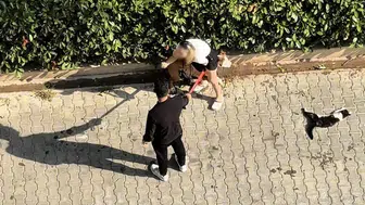 Adana'da dehşet anları Sahipsiz Pitbull kediyi parçaladı