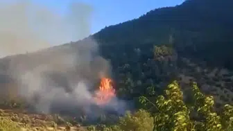 İslahiye ormanlarında kısa süreli yangın paniği