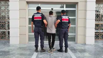 Jandarma incir bahçesinde hırsızı suçüstü yakaladı