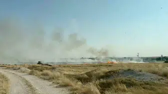 Eskişehir’de kuş kaynaklı yangın paniği