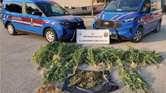 Kahta’da jandarmadan uyuşturucu baskını