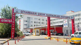 Sokak kedisinin saldırısı kabusa dönüştü: 4 yaşındaki çocuğun testi pozitif çıktı