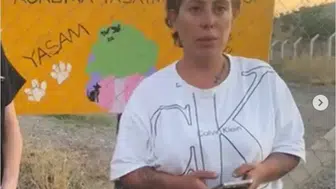 Sokak hayvanları derneği başkanını öldüren kardeşi aranıyor