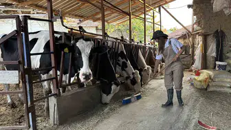 Burdur’da bir genç kızın traktörle gelen azim hikayesi