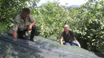 Fındıkta hasat maliyetini düşüren pratik çözüm