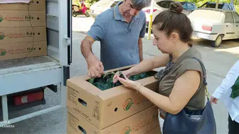 Aydınlı çiftçiye kışlık fide desteği başladı
