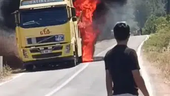 Sındırgı yolunda kamyon yangını ormana sıçradı