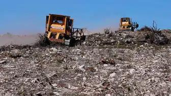 Aliağa ve Foça ormanları 1 milyon yeni fidanla canlanıyor