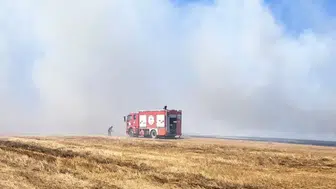Rüzgar alevleri büyüttü, ekipler tarlaya sıçratmadı