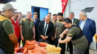 Fındıkta TMO mesaisi başladı, Giresun'da ilk teslimat yapıldı