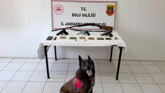 Bolu'da bir eve düzenlenen operasyonda cephanelik çıktı