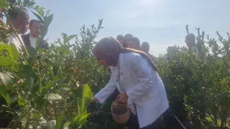 Bakan Göktaş Düzce'de genç girişimcinin bahçesini ziyaret etti