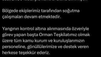 Çanakkale Bayramiç’teki orman yangını kontrol altına alındı