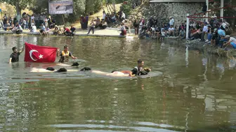 853 Yıllık Gelenek Çobanlar Koyunlarıyla Menderes'te Yarıştı