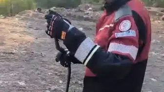 Bahar geldi, yılanlar şehre indi Hatay’da ekipler sahada