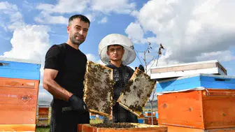 Ardahan’da bal hasadı mesaisi başladı