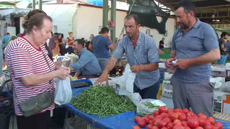 Burhaniye'de tarladan sofraya ilaçsız ürün dönemi başladı