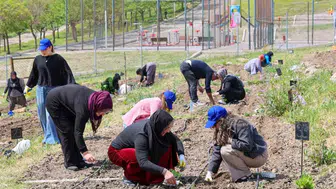 İzmirli kadınlar mutfak masrafını toprakla düşürüyor