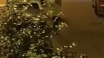 Kağıthane’de eski sevgili dehşeti