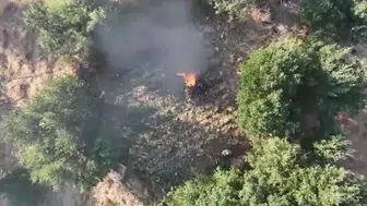 Diyarbakır kırsalında dev narkotik operasyonu Tonlarca uyuşturucu imha edildi